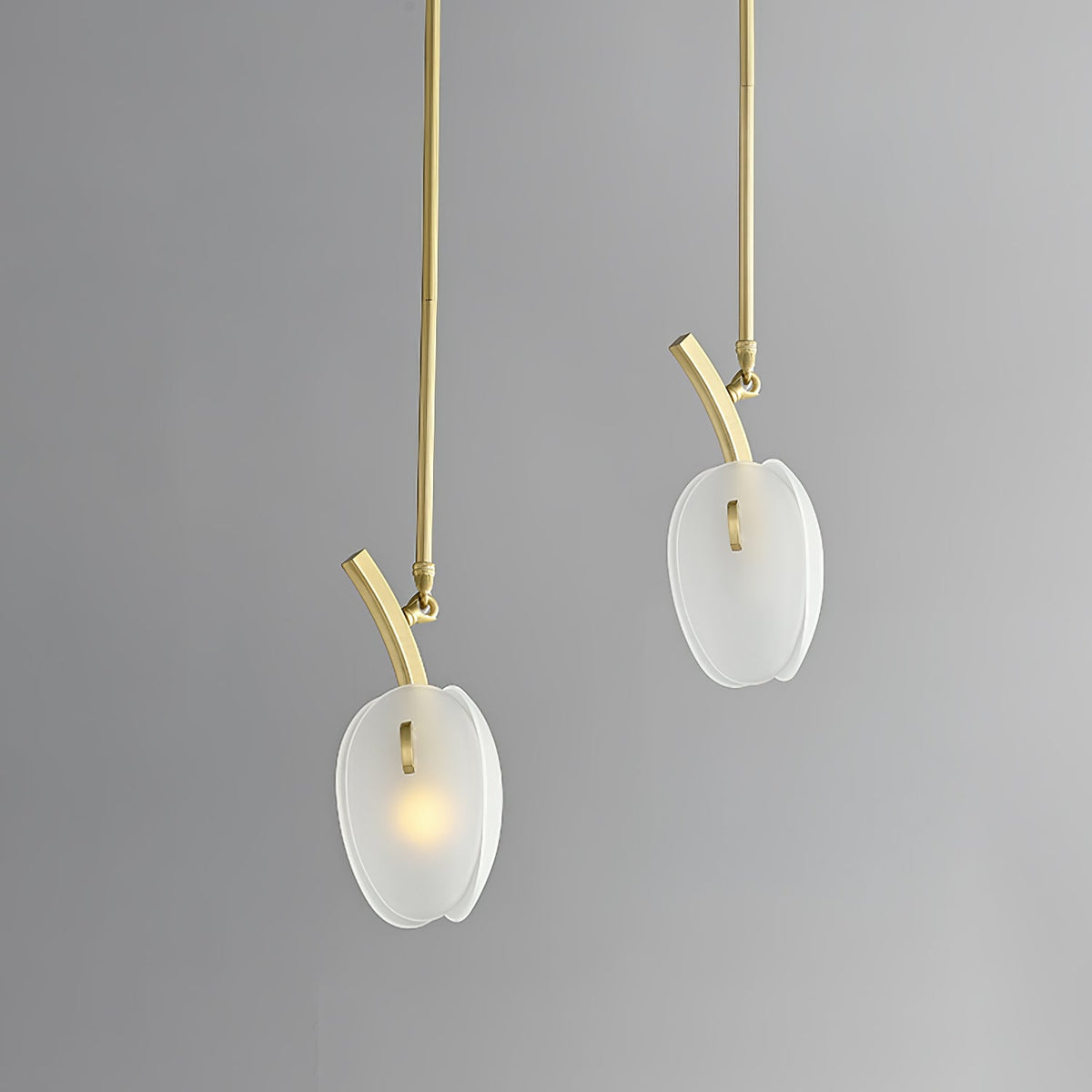 Blossom zeitgenössischer Kronleuchter aus Glas