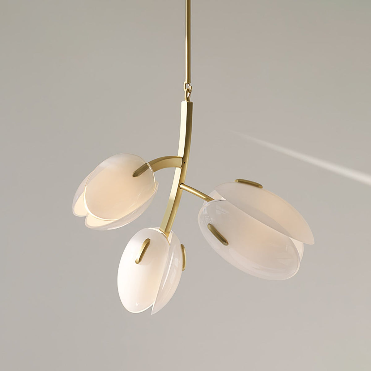 Blossom zeitgenössischer Kronleuchter aus Glas