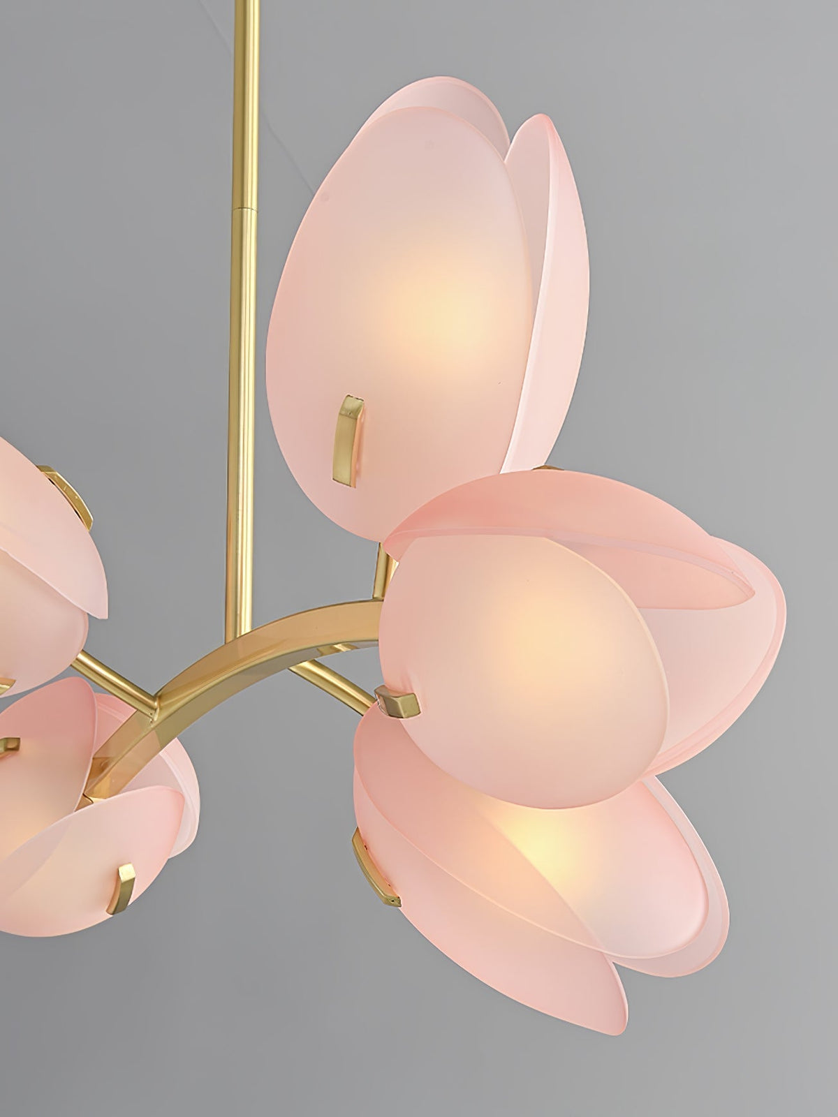 Blossom zeitgenössischer Kronleuchter aus Glas