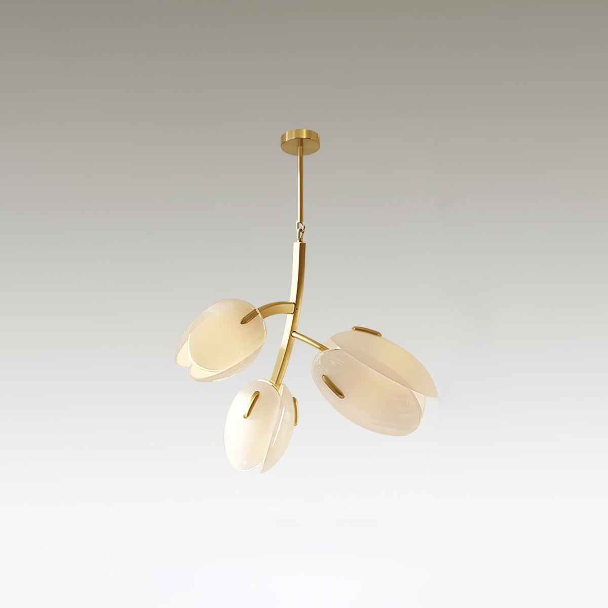 Blossom zeitgenössischer Kronleuchter aus Glas