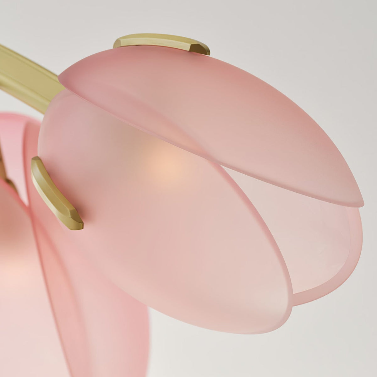 Blossom zeitgenössischer Kronleuchter aus Glas
