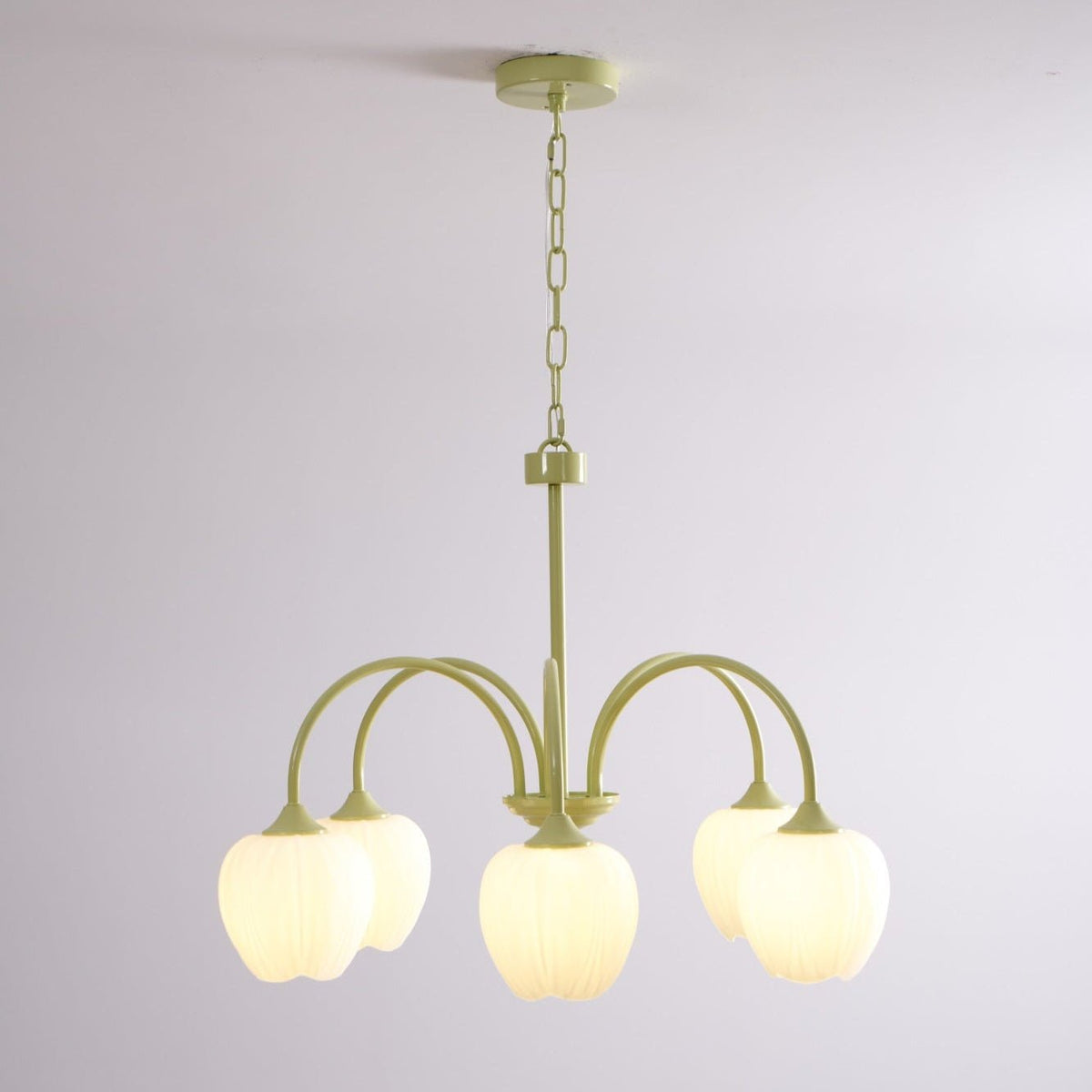 Eiraine Kronleuchter Tulip Matcha Glas