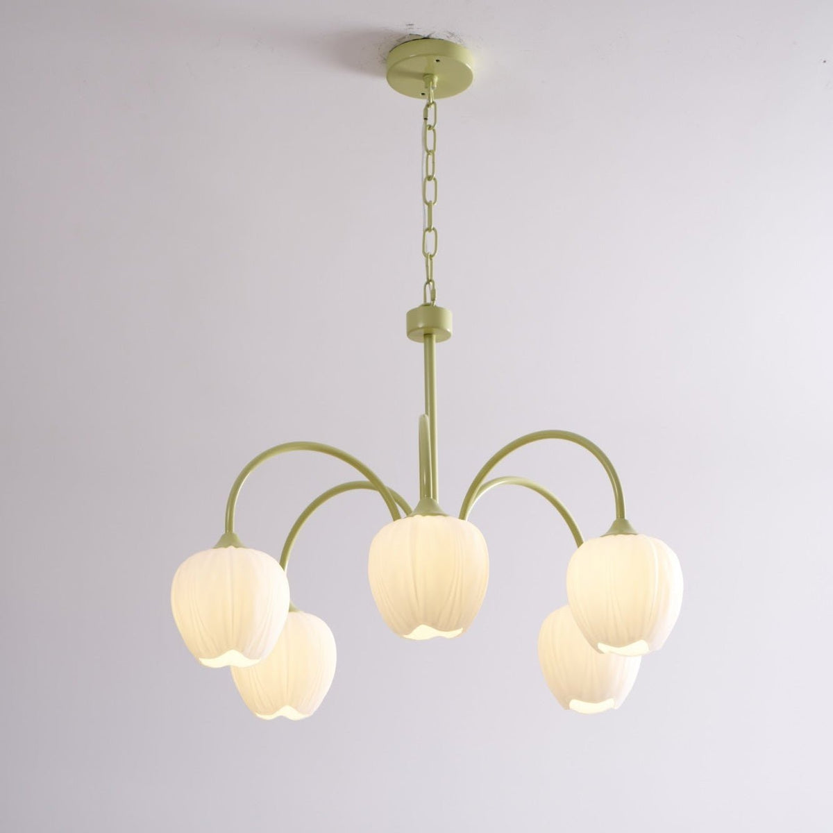 Eiraine Kronleuchter Tulip Matcha Glas