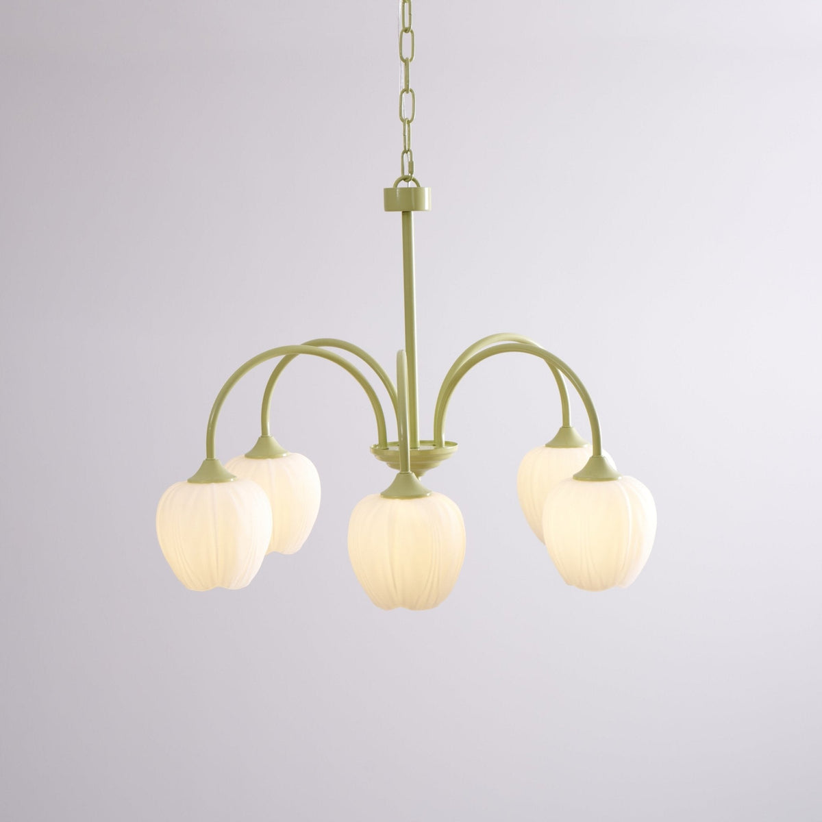 Eiraine Kronleuchter Tulip Matcha Glas