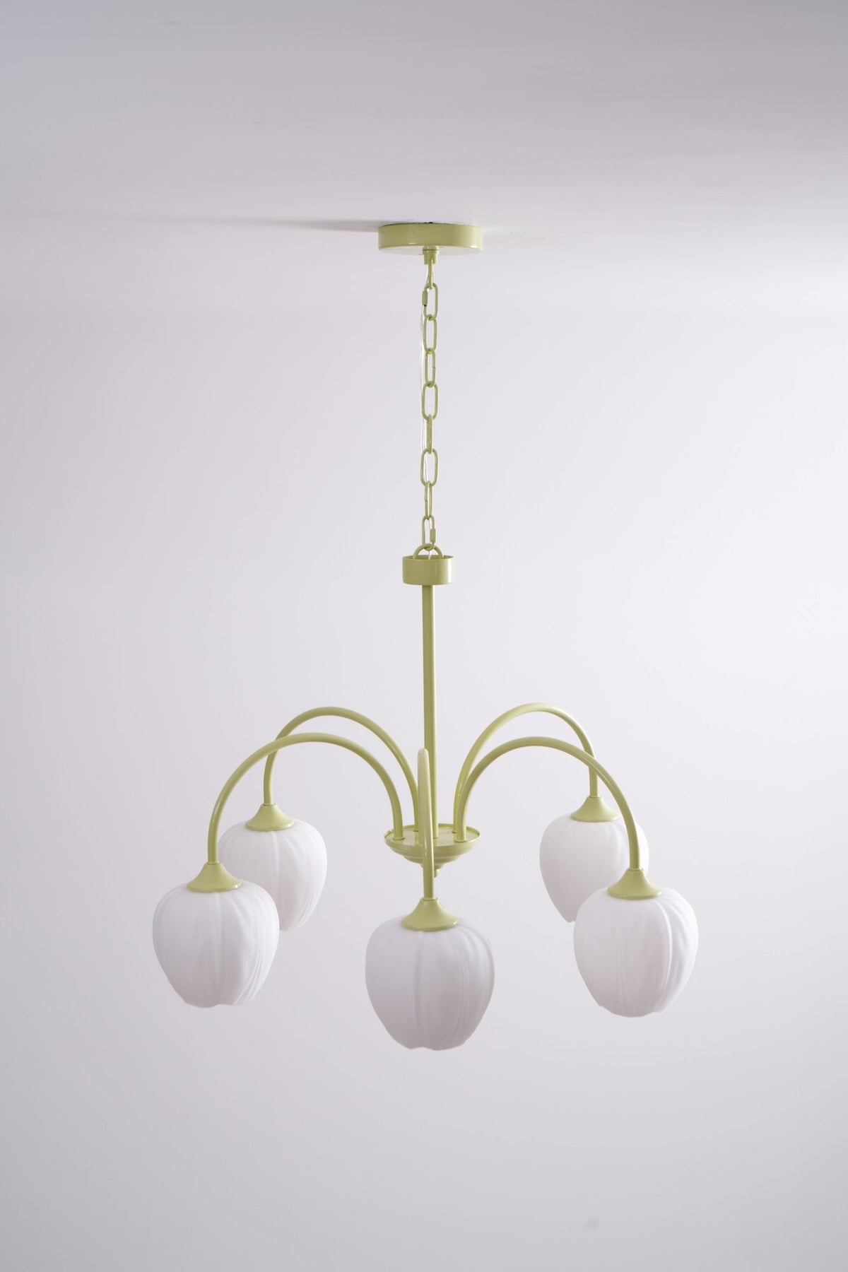 Eiraine Kronleuchter Tulip Matcha Glas