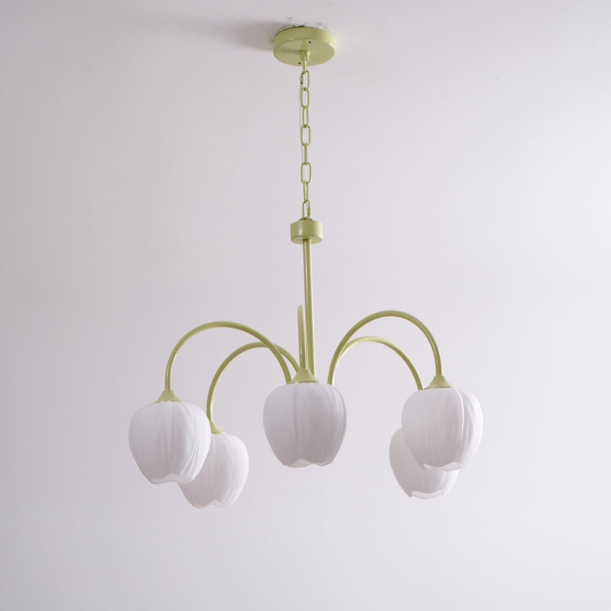 Eiraine Kronleuchter Tulip Matcha Glas