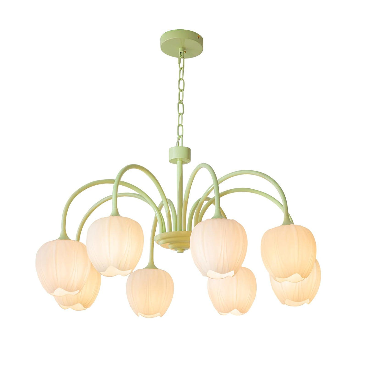 Eiraine Kronleuchter Tulip Matcha Glas