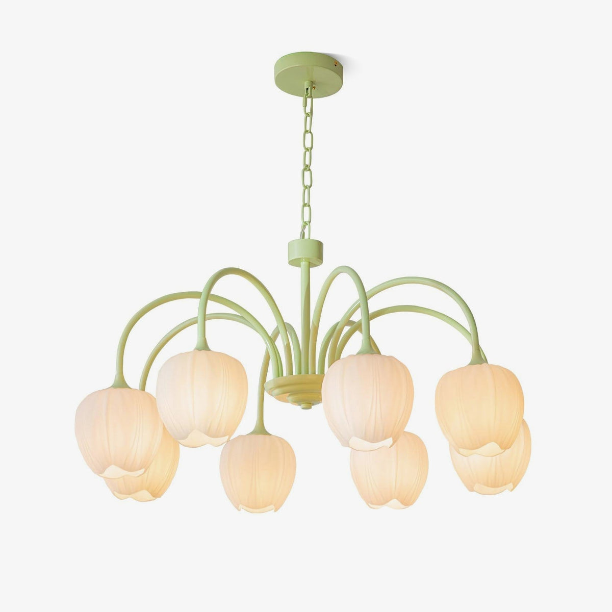 Eiraine Kronleuchter Tulip Matcha Glas