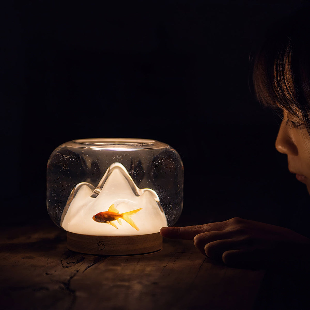 Alpine Tischlampe